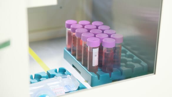 細胞の加工製造と培養