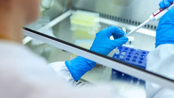 細胞の加工製造と培養