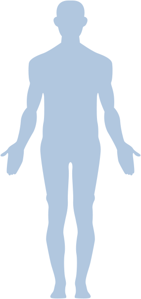 一つの細胞から私たちが作られます