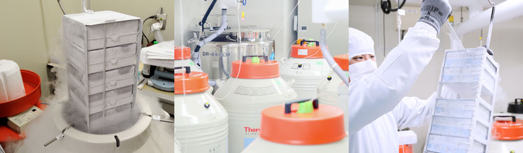 細胞を-196℃のタイムカプセルで保管