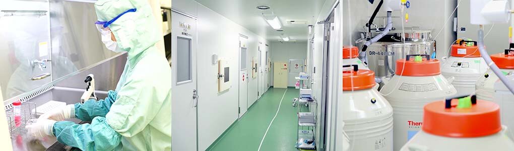 細胞加工施設の企画、設計、設置、運営管理