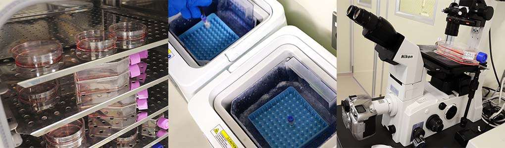 品質管理ノウハウの提供