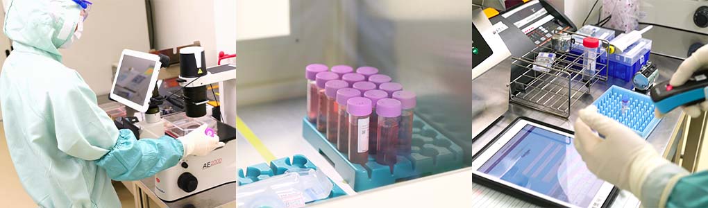 オーダーメイド医療>システムサービスの提供