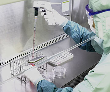 特定細胞加工事業