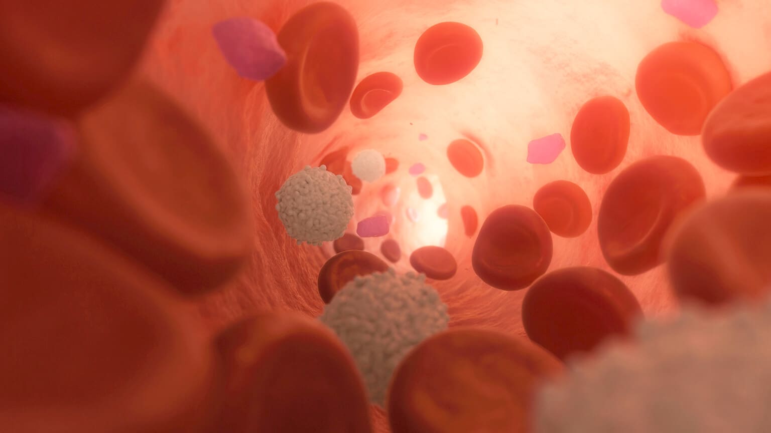 PRP療法について