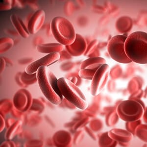 血液由来幹細胞