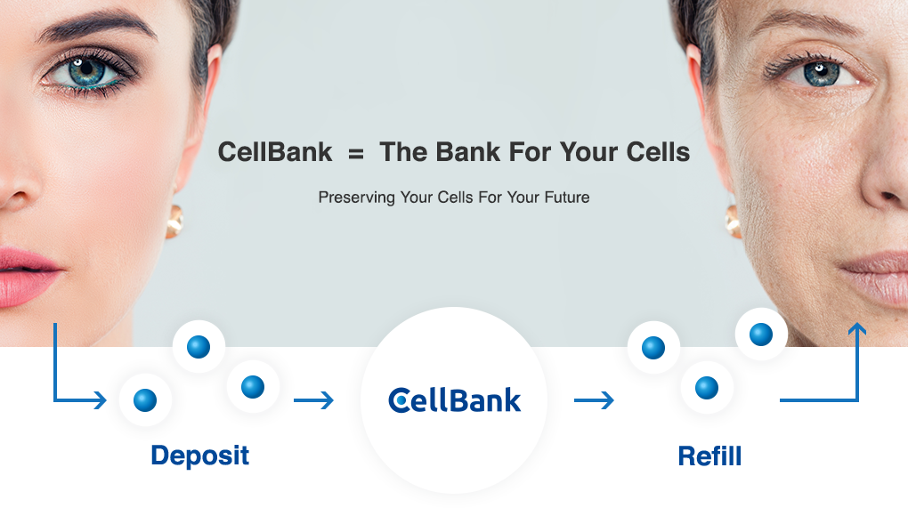 CellBank = The Bank For Your Cells: Preserving Your Cells For Your Future